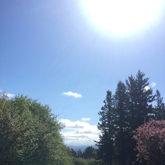 View from Council Crest toward Mt. Hood, which is NOT visible