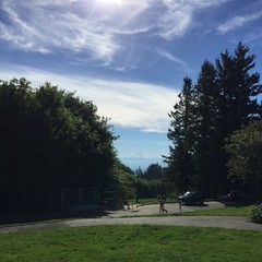 View from Council Crest toward Mt. Hood, which is visible
