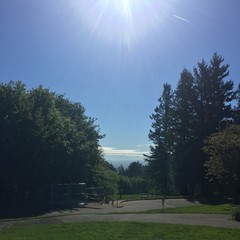 View from Council Crest toward Mt. Hood, which is visible