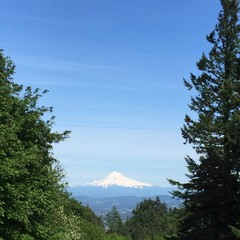 View from Council Crest toward Mt. Hood, which is visible