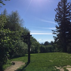 View from Council Crest toward Mt. Hood, which is visible