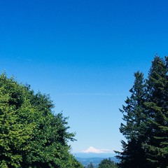 View from Council Crest toward Mt. Hood, which is visible