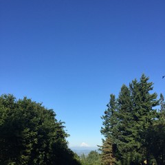 View from Council Crest toward Mt. Hood, which is visible