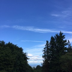 View from Council Crest toward Mt. Hood, which is NOT visible