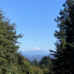 View from Council Crest toward Mt. Hood, which is visible