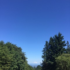View from Council Crest toward Mt. Hood, which is visible