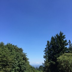 View from Council Crest toward Mt. Hood, which is visible