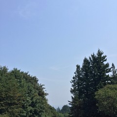 View from Council Crest toward Mt. Hood, which is NOT visible