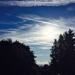 View from Council Crest toward Mt. Hood, which is visible