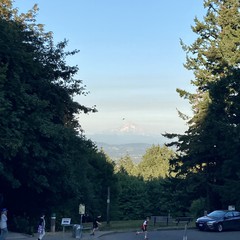 View from Council Crest toward Mt. Hood, which is visible