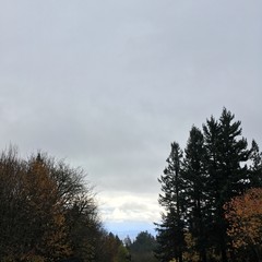 View from Council Crest toward Mt. Hood, which is NOT visible
