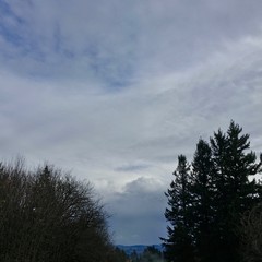 View from Council Crest toward Mt. Hood, which is NOT visible