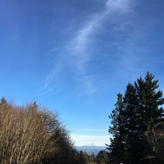 View from Council Crest toward Mt. Hood, which is visible