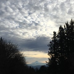 View from Council Crest toward Mt. Hood, which is visible