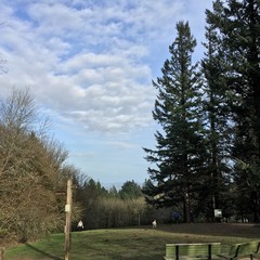 View from Council Crest toward Mt. Hood, which is visible