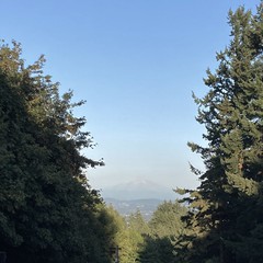 View from Council Crest toward Mt. Hood, which is visible