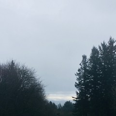 View from Council Crest toward Mt. Hood, which is NOT visible