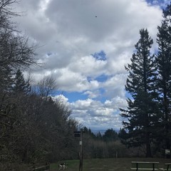View from Council Crest toward Mt. Hood, which is NOT visible