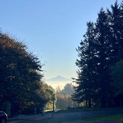 View from Council Crest toward Mt. Hood, which is visible