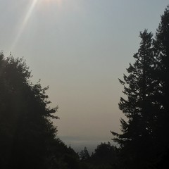 View from Council Crest toward Mt. Hood, which is visible