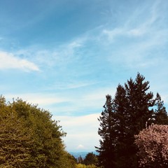 View from Council Crest toward Mt. Hood, which is visible
