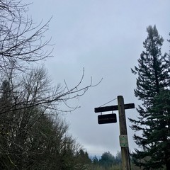 View from Council Crest toward Mt. Hood, which is NOT visible