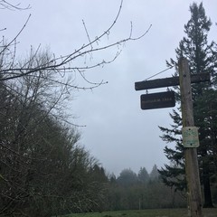 View from Council Crest toward Mt. Hood, which is NOT visible