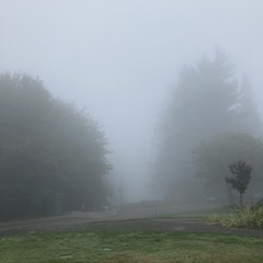 View from Council Crest toward Mt. Hood, which is NOT visible