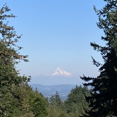 View from Council Crest toward Mt. Hood, which is visible