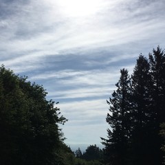 View from Council Crest toward Mt. Hood, which is visible