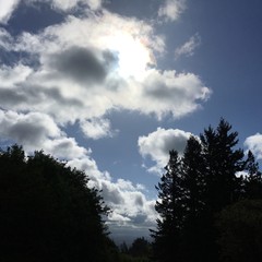 View from Council Crest toward Mt. Hood, which is NOT visible