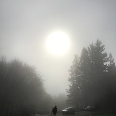 View from Council Crest toward Mt. Hood, which is NOT visible