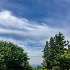 View from Council Crest toward Mt. Hood, which is visible