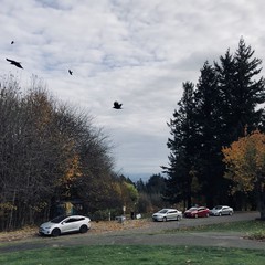 View from Council Crest toward Mt. Hood, which is NOT visible
