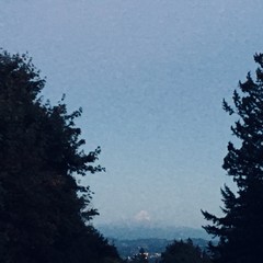 View from Council Crest toward Mt. Hood, which is visible