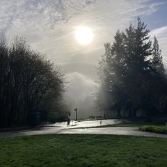 View from Council Crest toward Mt. Hood, which is NOT visible