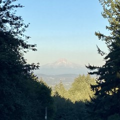 View from Council Crest toward Mt. Hood, which is visible