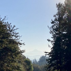 View from Council Crest toward Mt. Hood, which is visible