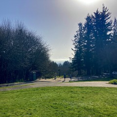 View from Council Crest toward Mt. Hood, which is visible