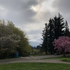 View from Council Crest toward Mt. Hood, which is NOT visible