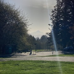 View from Council Crest toward Mt. Hood, which is visible