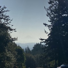 View from Council Crest toward Mt. Hood, which is visible