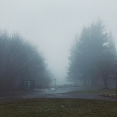 View from Council Crest toward Mt. Hood, which is NOT visible