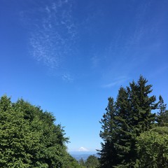 View from Council Crest toward Mt. Hood, which is visible
