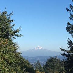 View from Council Crest toward Mt. Hood, which is visible