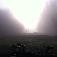 View from Council Crest toward Mt. Hood, which is NOT visible