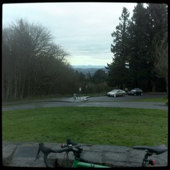 View from Council Crest toward Mt. Hood, which is visible