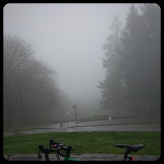 View from Council Crest toward Mt. Hood, which is NOT visible