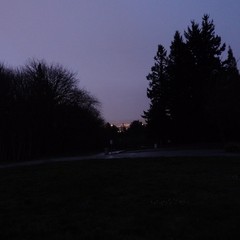View from Council Crest toward Mt. Hood, which is NOT visible