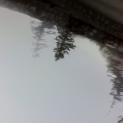 View from Council Crest toward Mt. Hood, which is NOT visible